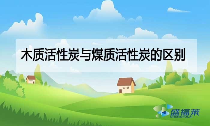 木質活性炭與煤質活性炭的區別